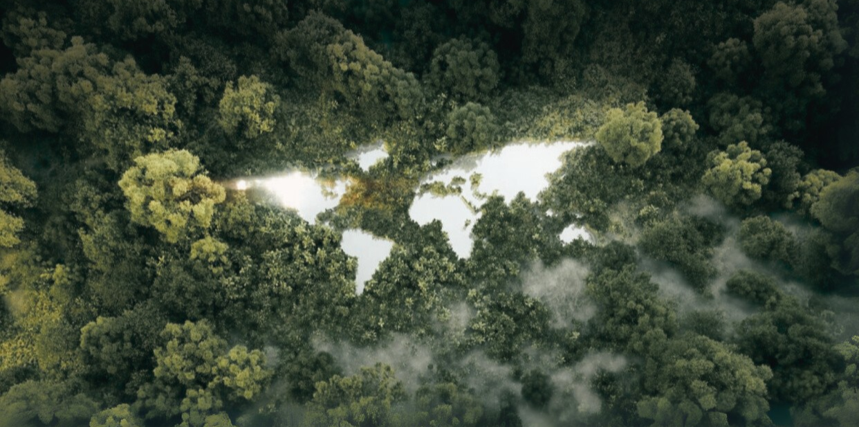 Postep - Jakość i ekologia